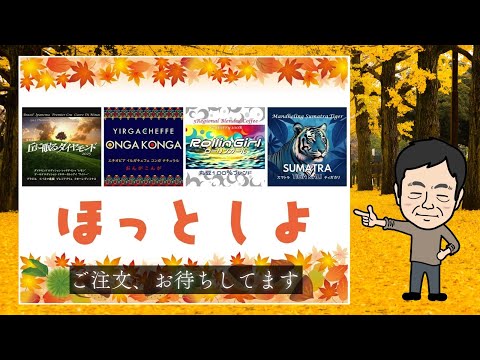 珈琲遊戯「ほっとしよ」、新発売！