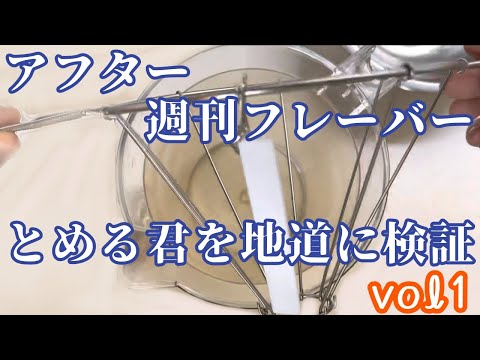 とめる君を地味に検証vol1