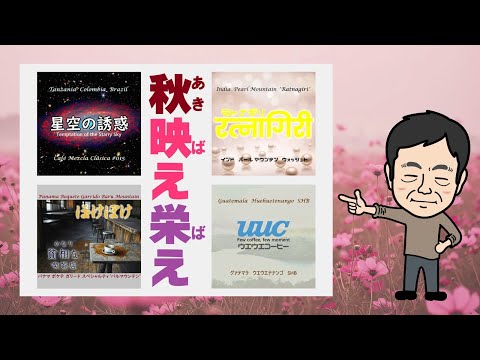珈琲遊戯「秋映え栄え」、新登場！