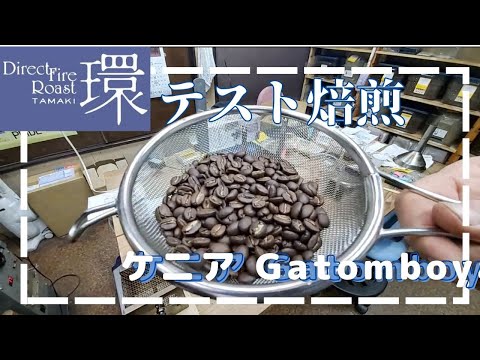 環テスト焙煎 Gatomboya
