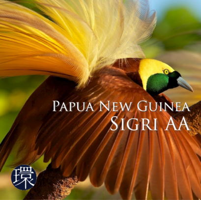 【DFR環】Papua New Guinea Sigri AA 200g