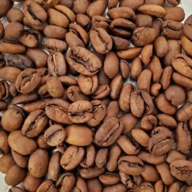 【松屋コーヒー本店】エルインヘルト レッドパカマラ Natural 100g - 画像 (2)