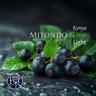 【DFR環】Kenya・Mitondo AA-TOP［Light］ 200g