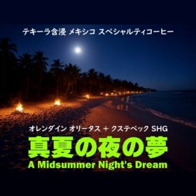 【珈琲遊戯】 真夏の夜の夢　100g - 画像 (2)