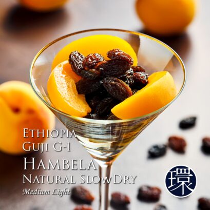【DFR環】Ethiopia Hambela Natural SlowDry［Medium Light］