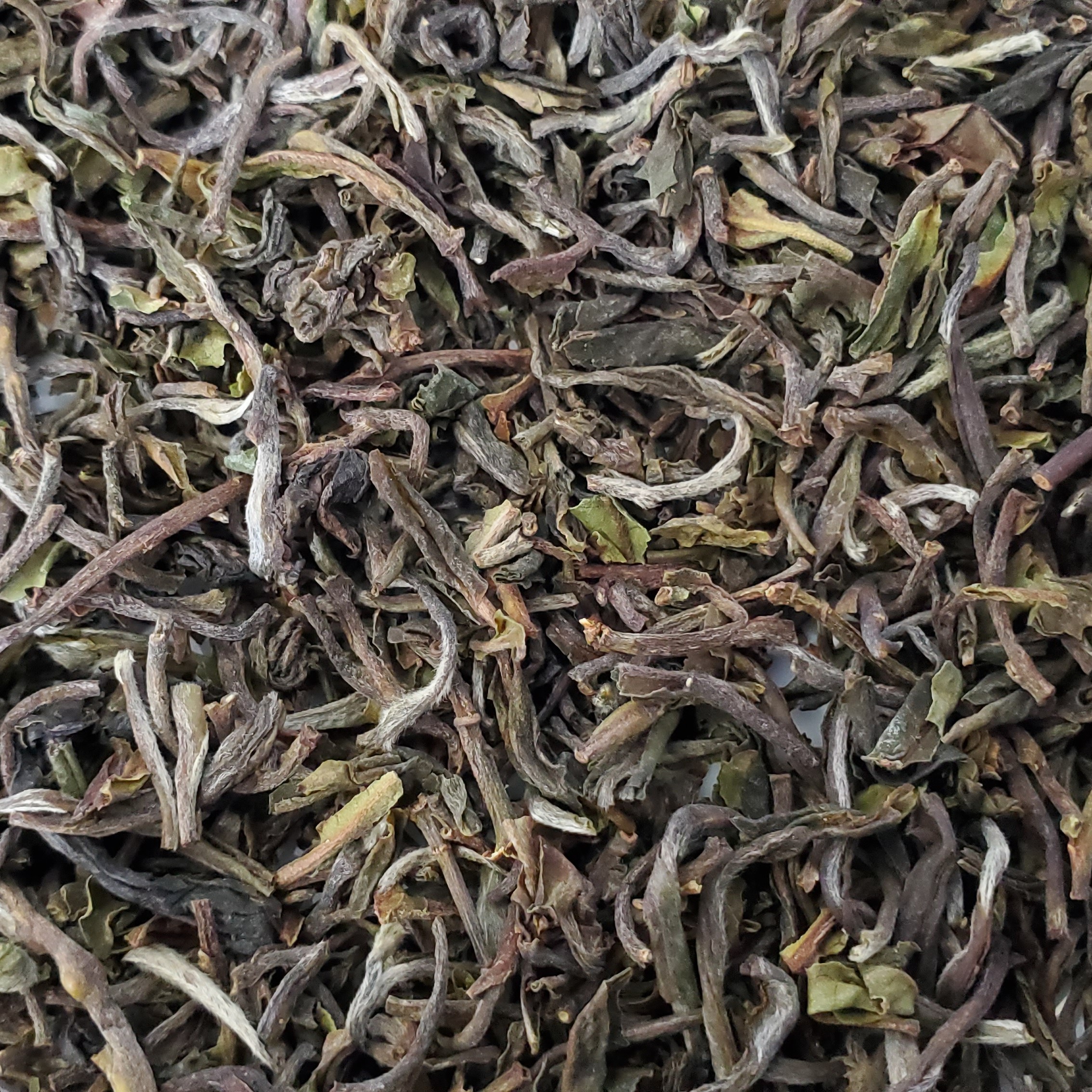 【DFR環】Thurbo 2025 First Flush Darjeeling DJ-8 FTGFOP1-CLONAL 50g - 画像 (3)