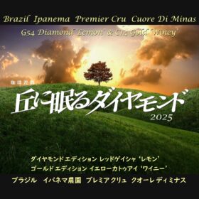 【珈琲遊戯】 丘に眠るダイヤモンド2025  100g - 画像 (2)