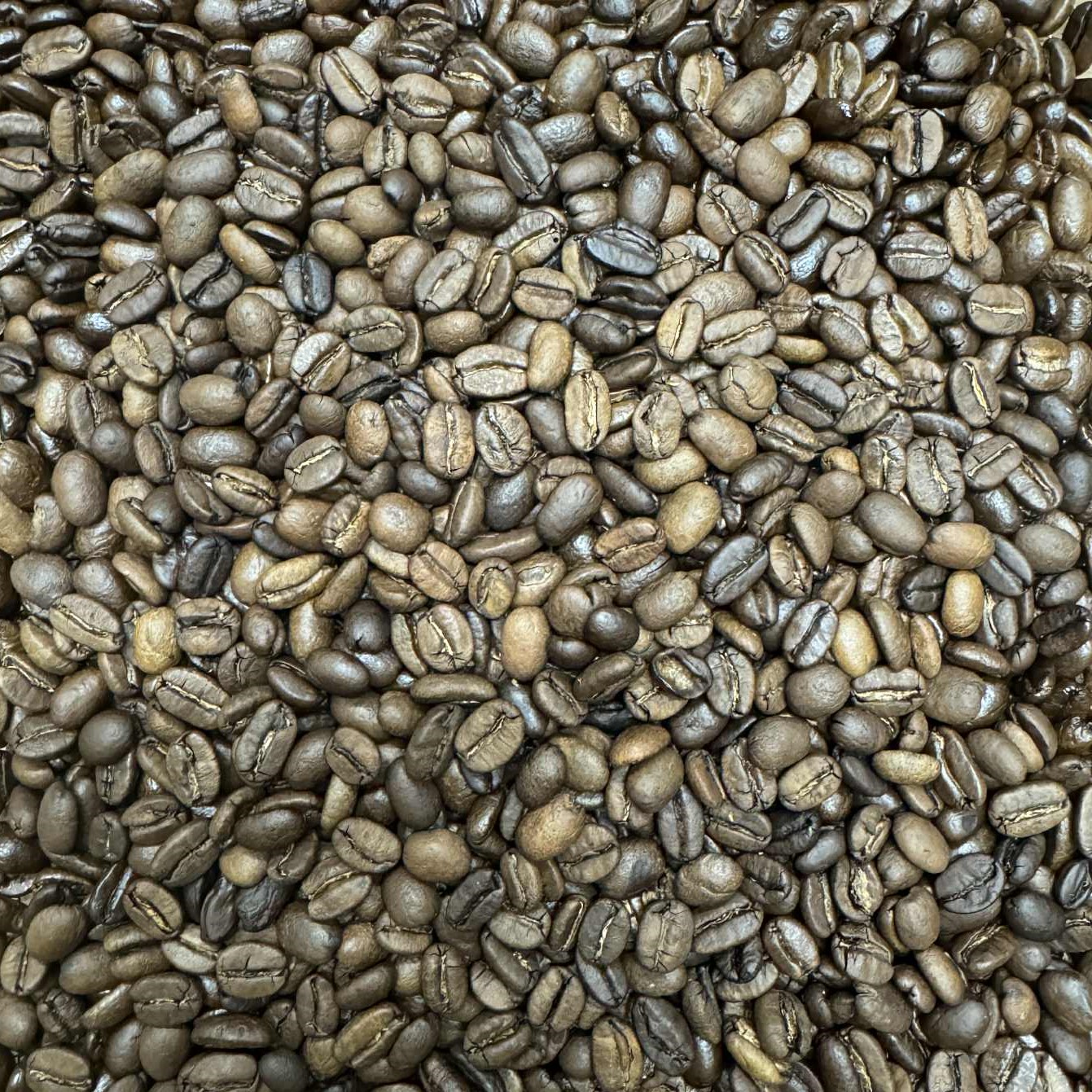 【Pits】TOMARiGI(とまり木) 200g - 画像 (2)