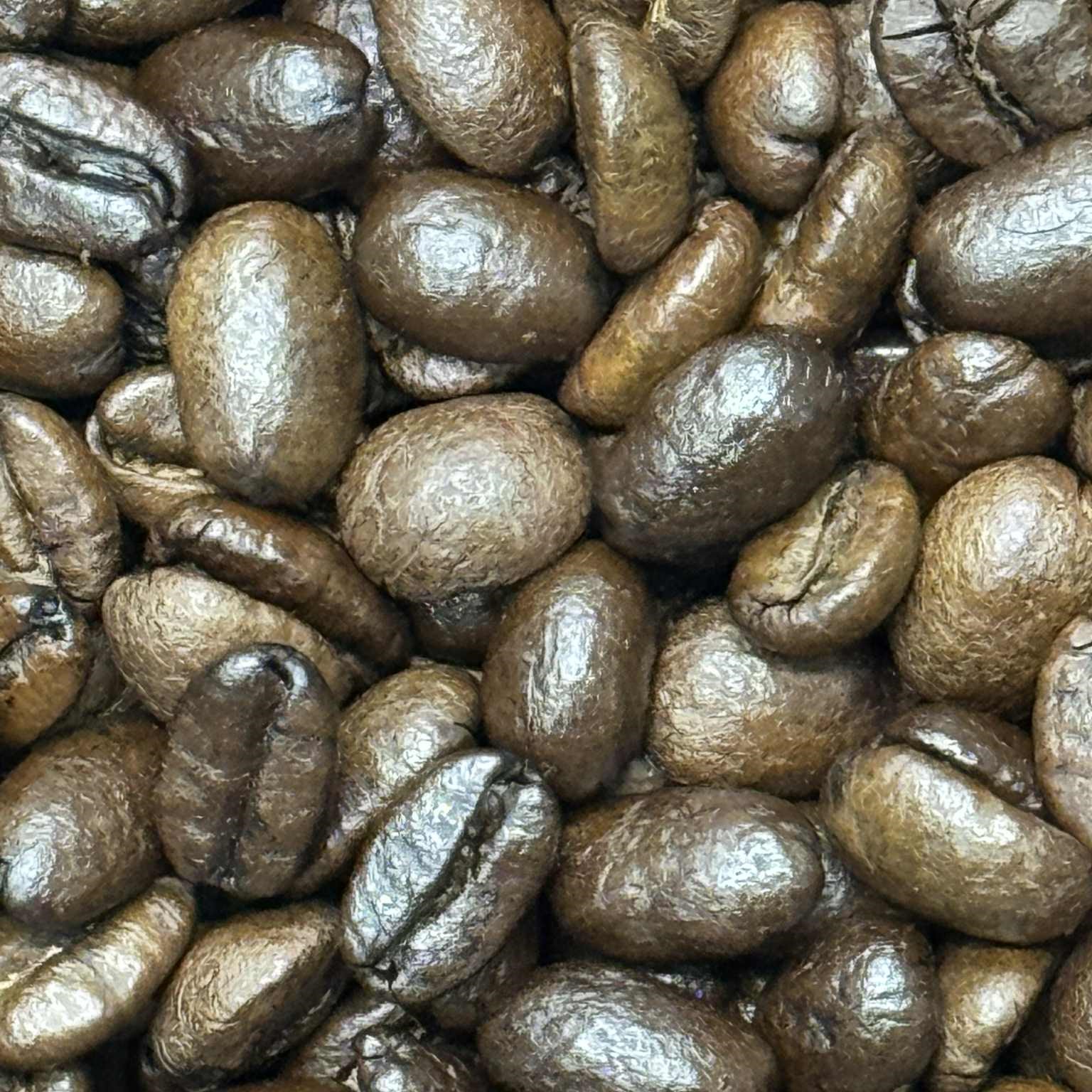 【Pits】TOMARiGI(とまり木) 200g - 画像 (3)