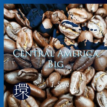 【DFR環】中米 BIG［Medium Dark］